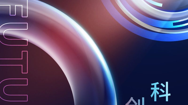 定制化与标准化：教育机构数字化解决方案的差异化选择**